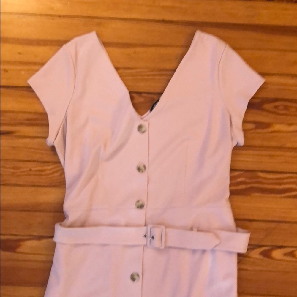 Express Pink Dress